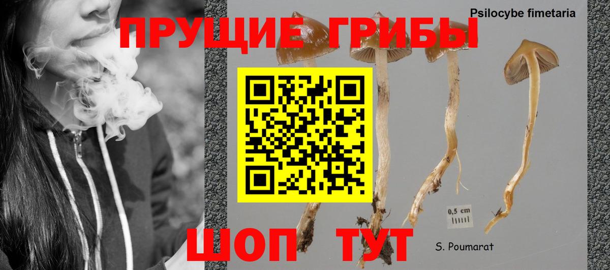 Галлюциногенные грибы MAGIC MUSHROOMS Елец