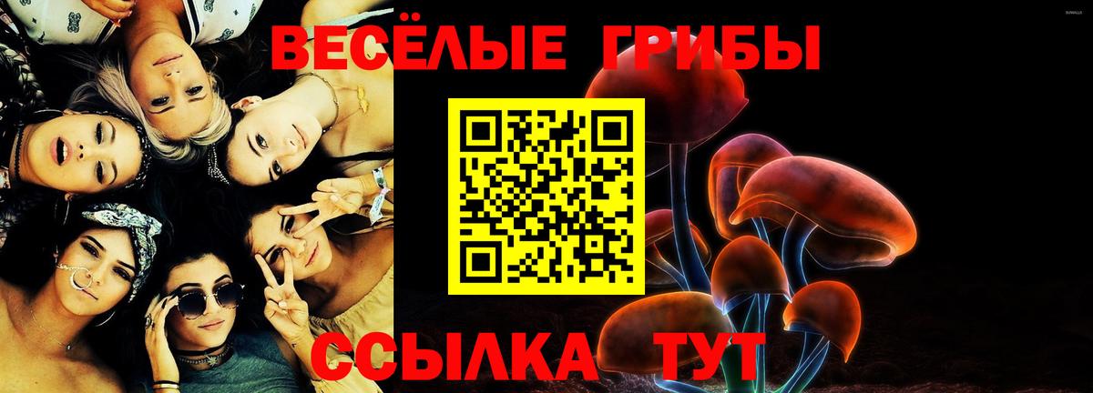 Елец  Псилоцибиновые грибы мухоморы  Вход с VPN 